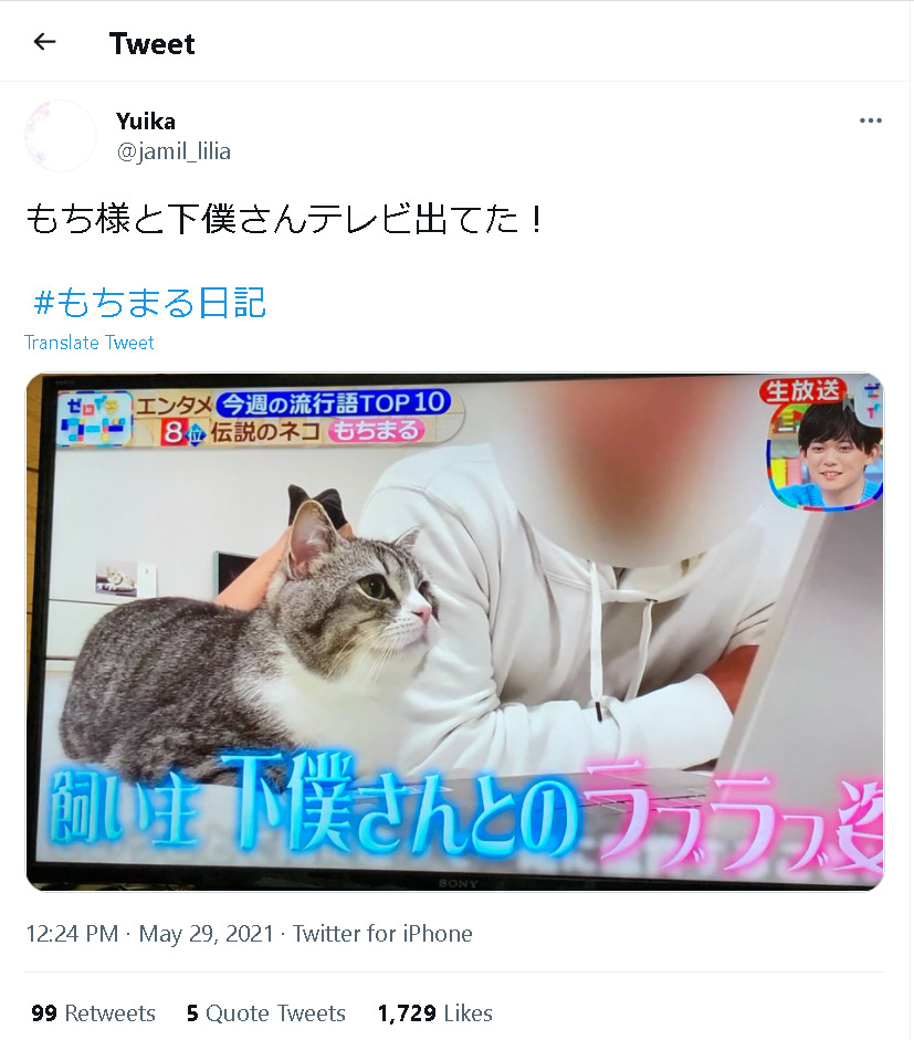 もちまるの飼い主が顔バレでイケメン発覚の真相は 下僕の年齢は代で仕事も調査 Angel Media